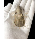 Ancient Egyptian Falcon God Horus Amulet, Vintage Pendant