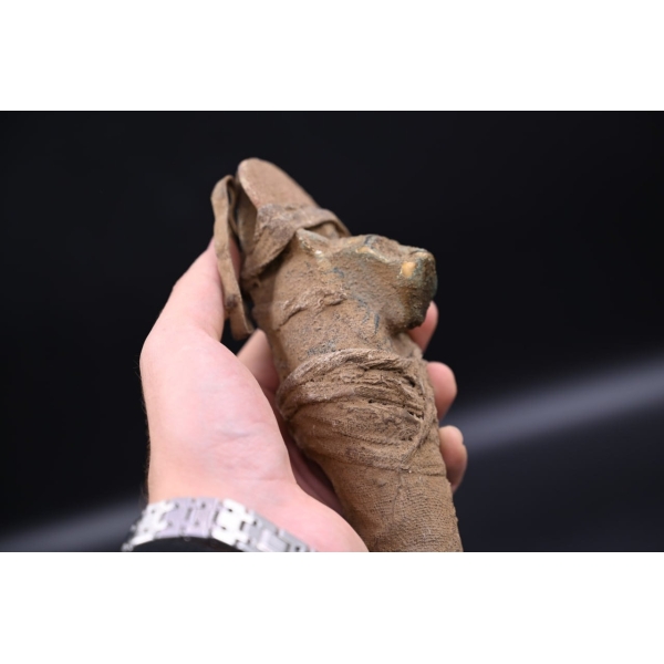 Sekhmet Scepter Was Stick, Egyptian Symbol of Strength, 50cm, Made in Egypt