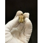 Stone Taweret Amulet: Egyptian Goddess of Fertility - صورة إضافية 3