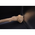 Tutankhamun Was Scepter, Egyptian Mythology Decor - صورة إضافية 8