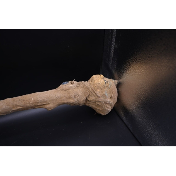 Tutankhamun Was Scepter, Egyptian Mythology Decor - صورة إضافية 8