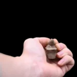 Stone Sobek Amulet – Ancient Egyptian Crocodile God Pendant - Image 5